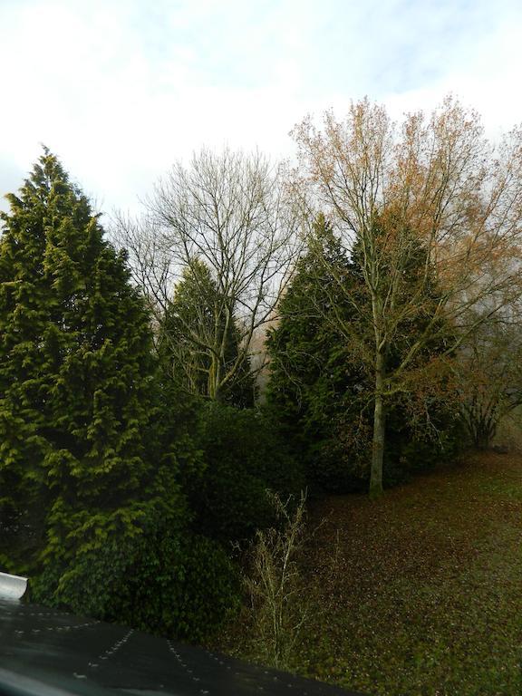 B&B Les Tcheous La Gleize Exterior photo